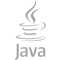 language java